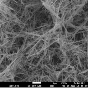 高活性酸化亜鉛ナノワイヤを用いた高感度材料