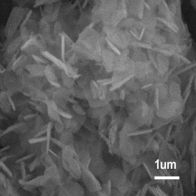 ナノおよびミクロンの六方晶窒化ホウ素粉末