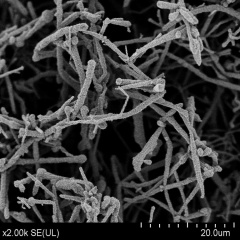 Copper Nanowires