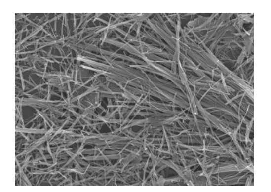 ナノ二酸化バナジウム材料：単斜晶粒子、W添加、ナノワイヤに関する包括的ガイド