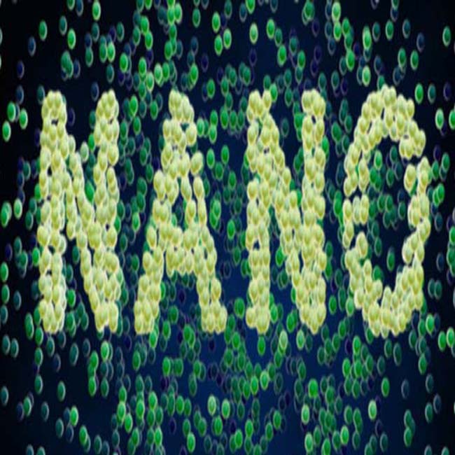 磁性ナノ材料の紹介